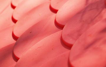 Ruan Lanihorne plastic roof costs