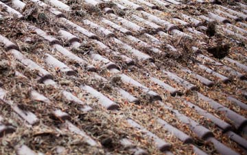 Ruan Lanihorne roof cleaning companies