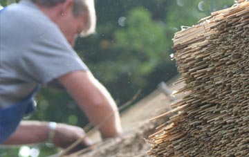 professional Ruan Lanihorne thatchers