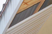 rated Ruan Lanihorne soffit repair companies